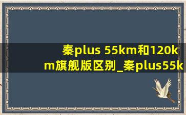 秦plus 55km和120km旗舰版区别_秦plus55km和120km的尊贵版